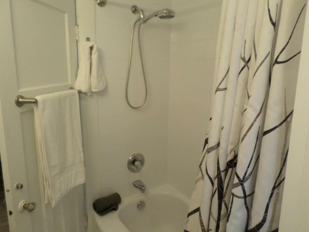 Beautiful, Clean, Quiet 2 Br-In Downtown Ottawa. Parking, Wifi And Netflix Included Apartment Exterior foto
